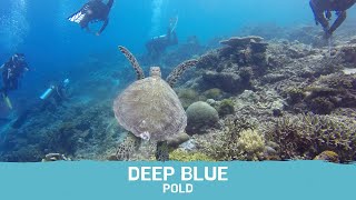 Deep Blue – Pold - Stress relief | Calm Music | Sleep | Relax with Us