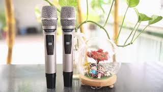 Loa Kéo Di Động Beatbox Acnos CS450 Tích Hợp Đầu Karaoke