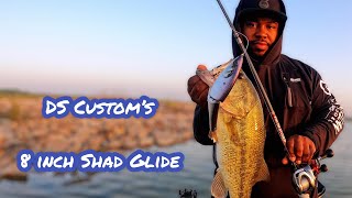 Ds Custom Shad Review