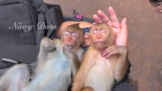 Shakira and baby Angela deep sleep together on mom's hands, they are feel so safe and relax.