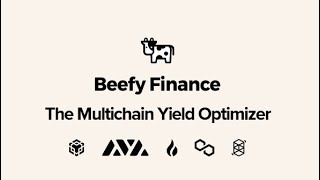 Beefy Finance - A step by step guide to everything