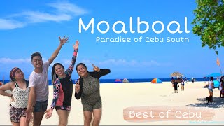 Barefoot Resort MOALBOAL | ft. Travel Buddies || Travel Vlog