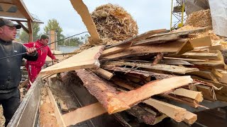 Can Huge Logs Really Become Tiny Wood Chips?