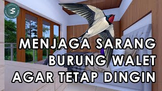 TIPS CARA MELEMBABKAN RUMAH BURUNG WALET - KONTRAKTOR DESAIN RUMAH BURUNG WALET