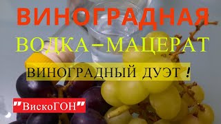 👍БОМБИЧЕСКАЯ ! ВИНОГРАДНАЯ ! ВОДКА-МАЦЕРАТ "ВИНОГРАДНЫЙ ДУЭТ" Почти 3 л. ароматного самогона за 2 ч.