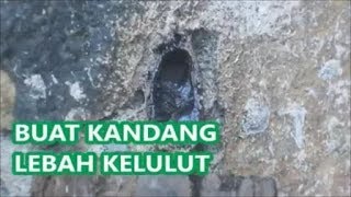 Membuat Sarang Kelulut Sederhana