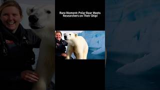 Rare Moment: Polar Bear Meets Researchers on Their Ship!#PolarBearEncounter#ArcticAdventure