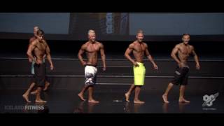 2017 IFBB Icelandic championships. Men's physique  -178cm class