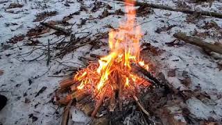 ASMR Bushcraft fire in the woods