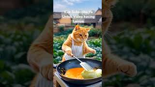 Cat videos kucing lucu #cat #catfunny #catlover