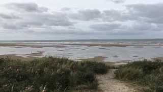 Traveller: The Netherlands, Texel