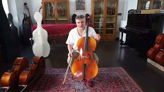 Violoncello Scott Cao STC17E