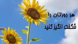 هر روزتان را با شكر گزارى از خداوند شگفت انگيز كنيد .