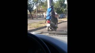 Cachorro carregado na moto - Porto Alegre