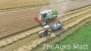 Żniwa 2017☆ GR Bolesta☆ Claas☆[GoPro]☆TheAgro Matt ㋡