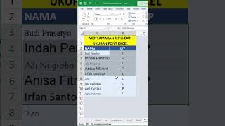 CARA MENYAMAKAN JENIS DAN UKURAN HURUF DI EXCEL #shorts #excel #exceltips