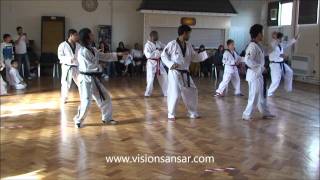 nj taekwondo demonstration