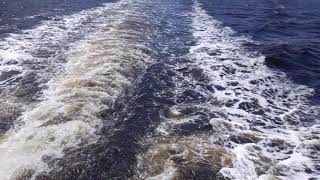 Waves on a Cruise