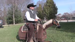 Soften Your Hands - Steve Lantvit Horseman's Minute with the Equicizer