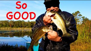 The Best Tasting Bass Recipe!!! Taste so GOOD!!! CATCH & COOK