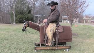 Using a Direct Rein- Steve Lantvit Horseman's Minute with the Equicizer