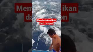 memisahkan ikan dari rumpon #shorts #ngeshortsdulu #stevenrumbayan