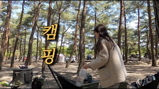 비오니까 육전에 막걸리 한잔 / 나무가 많은 숲속 캠핑장 / 캠핑세끼 / 캠핑장비 세팅 / 캠핑 브이로그