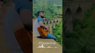 BHASHI-Viramayak Guitar Cover (Covered by Oshan Sandeepa) @bhashidevanga  #viramayak