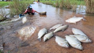 Best hand fishing,  a fisherman catch fish on the road in flooding season