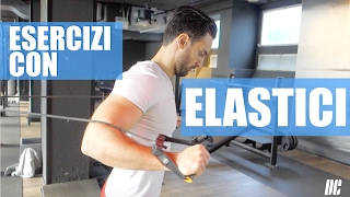 7 FIT BANDS EXERCISES