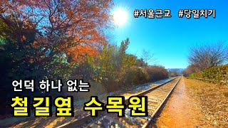 서울근교 걷기 좋은 당일치기 여행지 푸른수목원 (식물원, 저수지데크길,철길) / 이용요금 없음