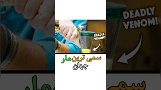 سمی ترین مار جهان رو بشناسید #shorts