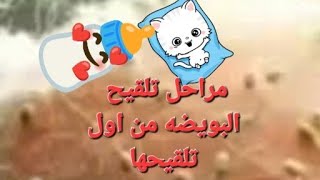 مراحل 🧑‍🍼 تلقيح البويضه من اول تلقيحها 🛀من أول يوم 🤱 #ماما_هويدا