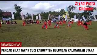 Beraksi , Pendekar Muda Pencak Silat Tapak Suci kabupaten bulungan kalimantan utara