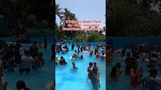 D'Atlantis Water Park Virar Mumbai #shorts #youtubeshorts #waterpark #dancevideo