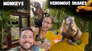 Full Exotic Animal Tour - Monkeys & Venomous Snakes