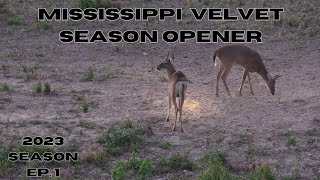 Mississippi Velvet Buck Opener ** Deer Destroying Soybean Crops **