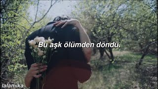 Taylor Swift-This Love (türkçe çeviri)