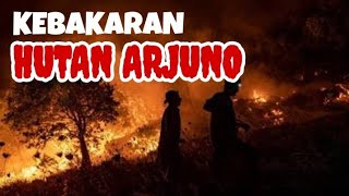 Kebakaran Hutan Arjuno