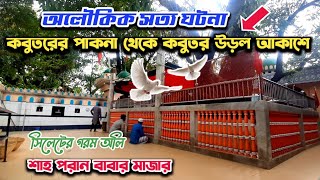 সিলেটের গরম অলির মাজার - কবুতরের পাকনা থেকে আল্লাহর হুকুমে আকাশে কবুতর উড়ে। Sylhet Shah Poran Mazar