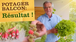 Potager balcon : résultat après 2 mois (tour des cultures, entretien etc...)