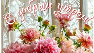 С Добрым утром 💖С новым днём💝 Пусть все прекрасно будет в нем💞🌺