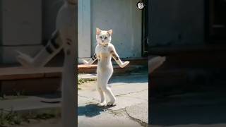 Dancing Cat🤣 #shorts #shortsfeed #cats