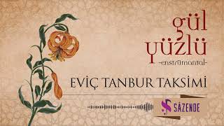 Özer Özel - Eviç Tanbur Taksimi | Turkish Instrumental Music