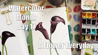 Day 17 Watercolor Month - Calla Lilly - A flower everyday!!