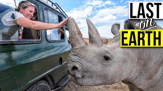 Visiting the LAST TWO Northern White Rhinos on Earth (Africa Part 2)