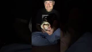 The night bite #Fishing,Colorado #Fishing,DowntownDenver #BassFishing, #SwimJig