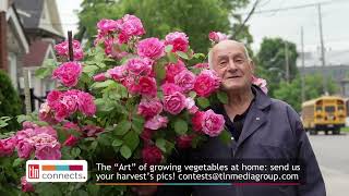 The Art of Growing Vegetables at Home | TLN Connects