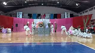 Tameshiwari en la exhibición de Karate en Zárate