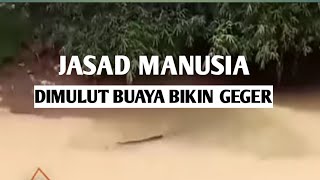 GEGER,warga dilaporkan hilang,seekor buaya muncul bawa jasad manusia